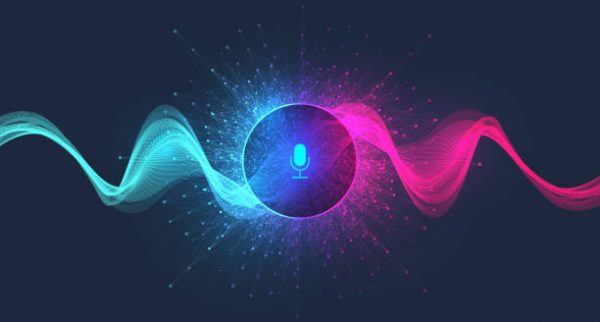 Voice Verification API in action